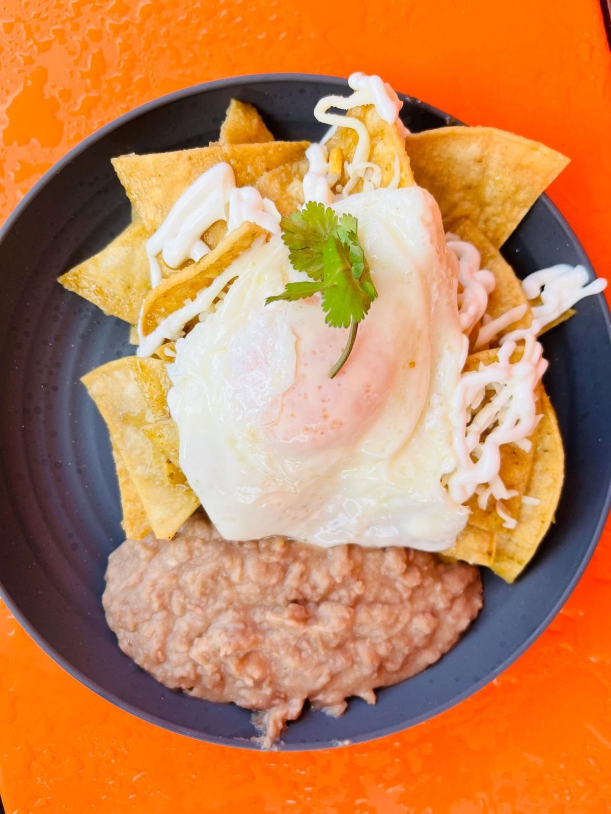 Chilaquiles with a fried egg and house beans
